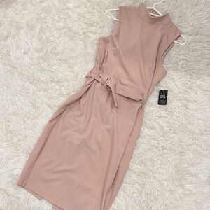Express Pink Sleeveless Sheath Dress with Belt